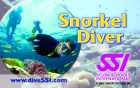 Beispiel: SSI-Schnorchel Diver