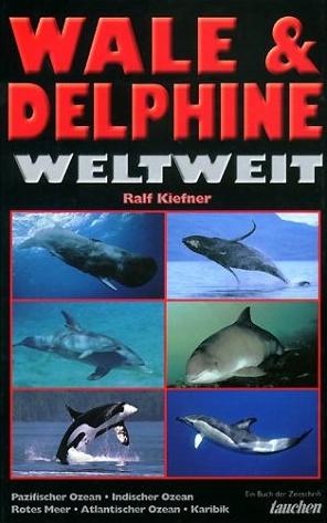 Wale & Delphine Weltweit - von Ralf Kiefner